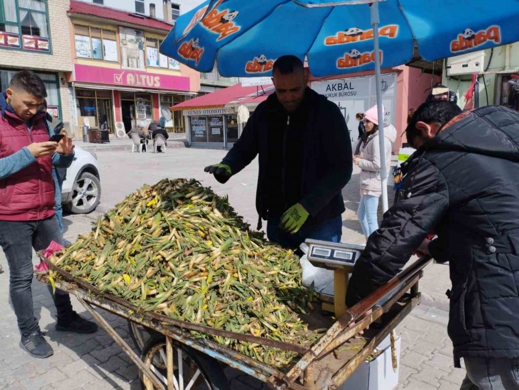 Mus Vartoda baharin mujdecisi Gulbahar bitkisi tezgahlardaki yerini aldi Habermeydan