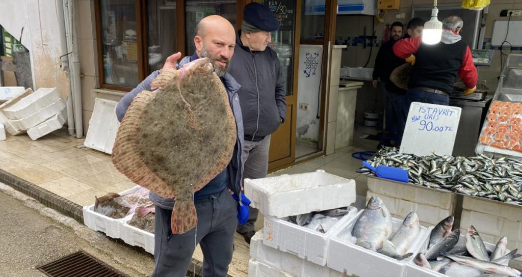 Sinopta avlanan balikcilarin agina dev kalkan baliklari takildi Habermeydan