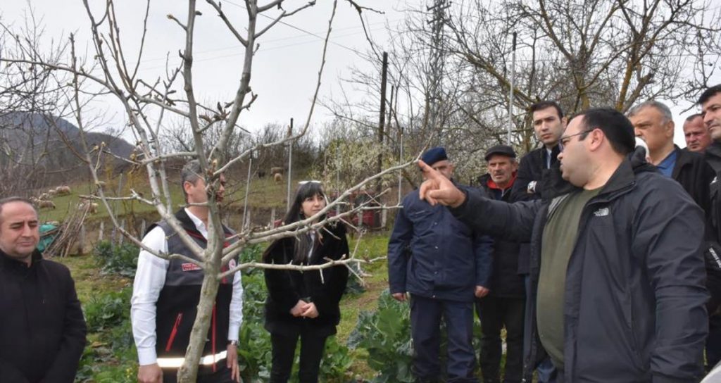 Sinopta ciftcilere budama egitimi verildi habermeydan