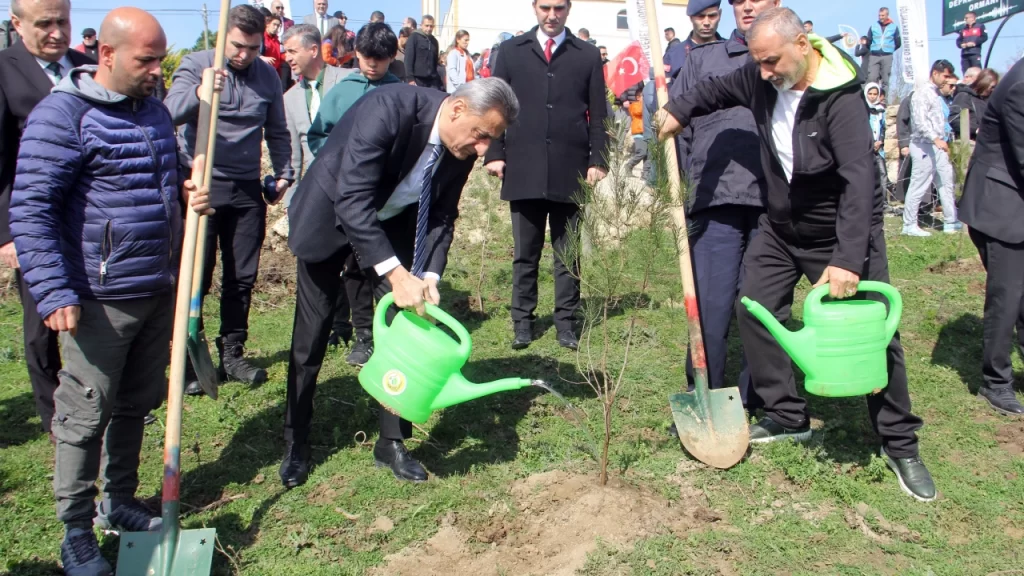 Sinopun Abali koyunde 6 Subat Deprem Sehitleri Hatira Ormani fidan dikim toreni Habermeydan