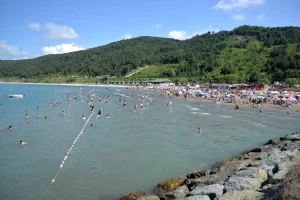 sinop turkeli deki kirazli bahce plaji yogun ilgi goruyor1 habermeydan