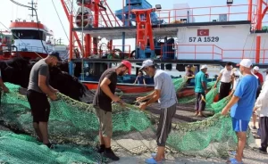 sinop lu balikcilar 1 eylul e hazir1 habermeydan