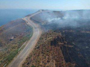 sinop ta makilik alanda yangin cikti1 habermeydan