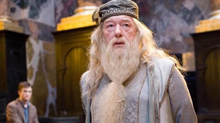 dumbledore habermeydan