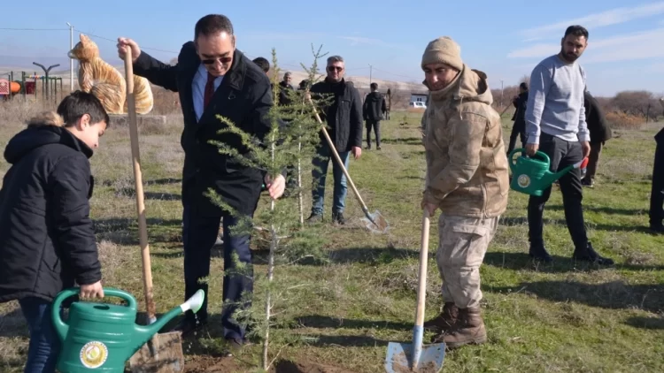 mus ta ogretmenler gunu kapsaminda 100 yil egitim ormani olusturuldu habermeydan