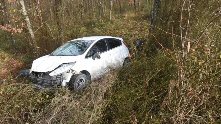 sinop ayancik ta kontrolden cikan otomobil ormana uctu habermeydan