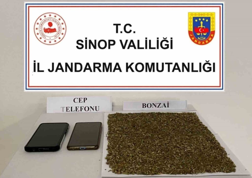 sinop ta 2 adrese yapilan baskinda 80 gram bonzai ele gecirildi habermeydan e1715786440373