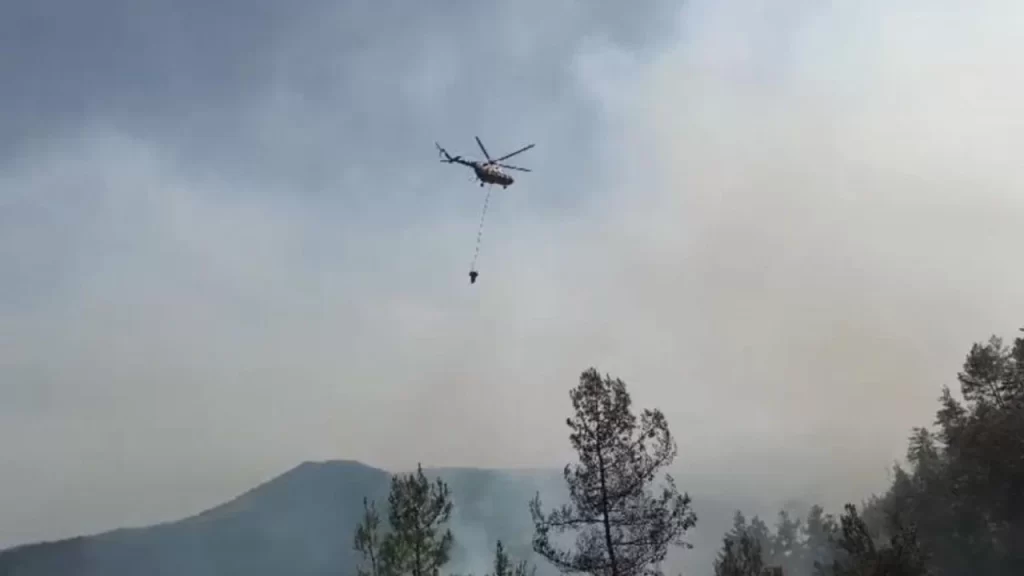 sinop ta ormanlik alanda yangin cikti habermeydan