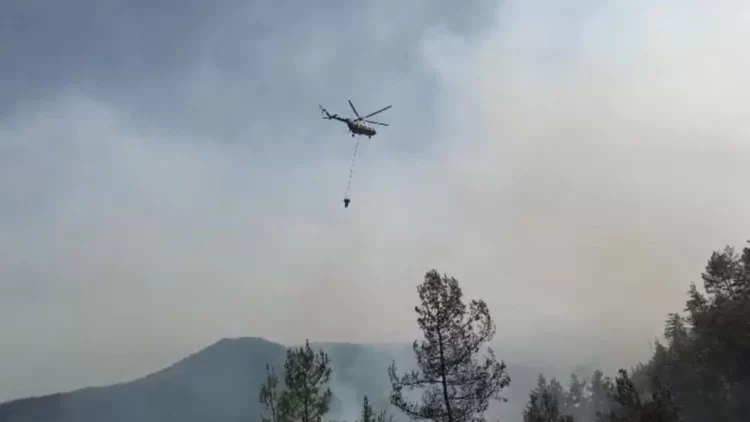 sinop ta ormanlik alanda yangin cikti habermeydan