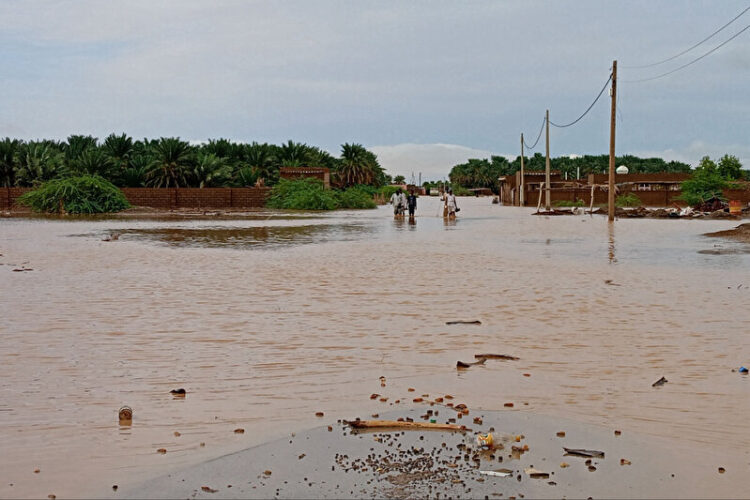 sudan habermeydan