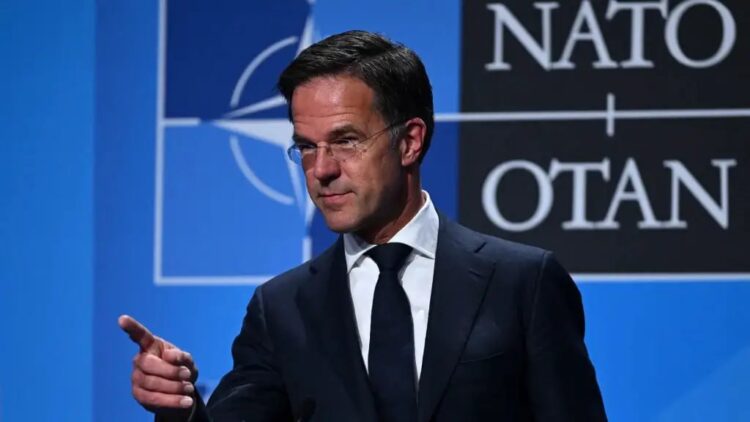 rutte habermeydan