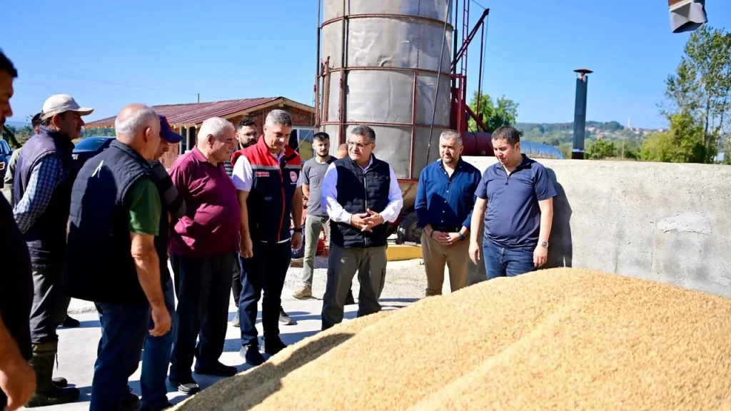 sinop ta celtik hasadi sezonu basladi habermeydan