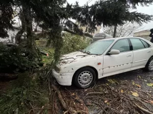 Istanbulda firtina ve saganak yagis1 habermeydan