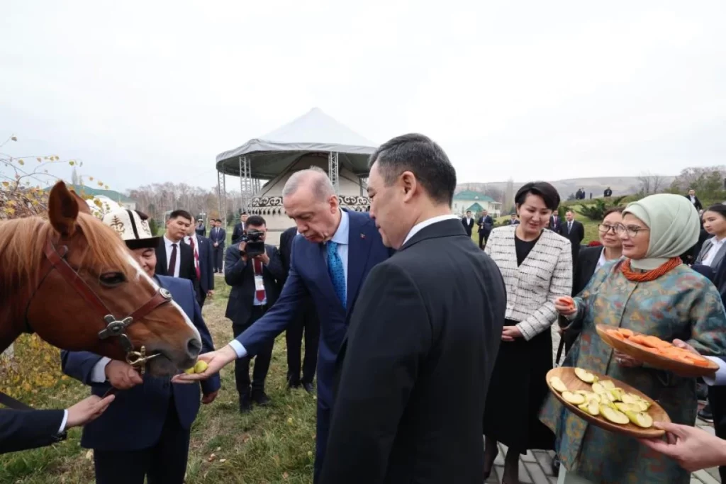 erdogan at hediyesi habermeydan