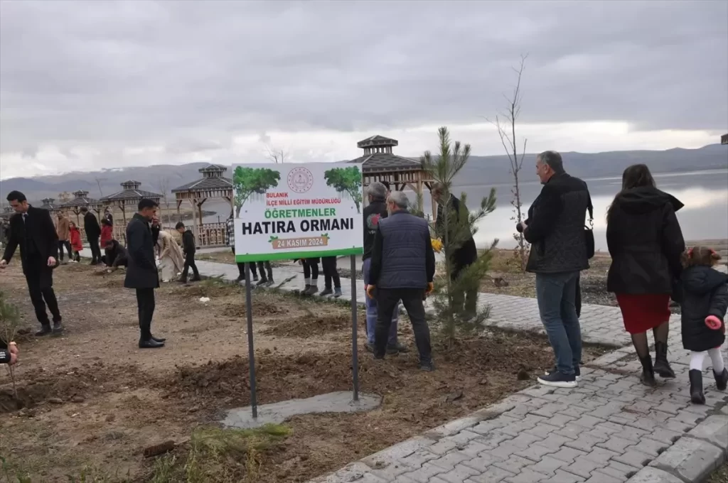 mus bulanik ta ogretmenler hatira ormani kuruldu habermeydan