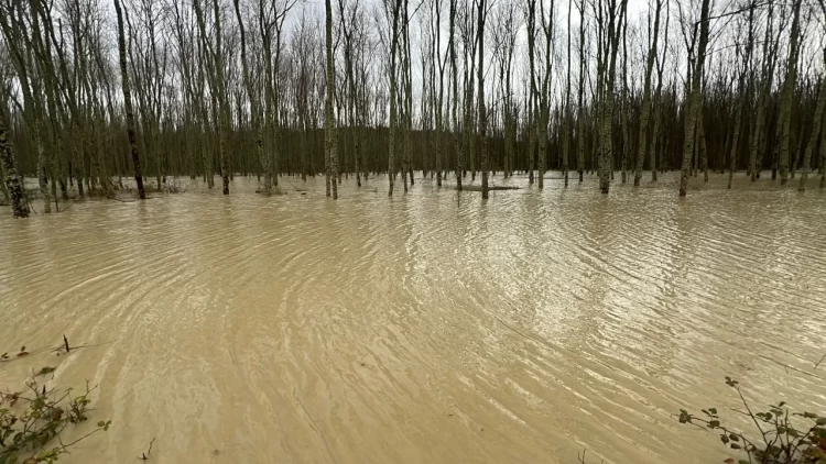 sinop ta etkili saganak yagis dereleri tasirdi habermeydan