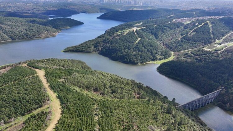 Istanbulda barajlarin doluluk orani habermeydan