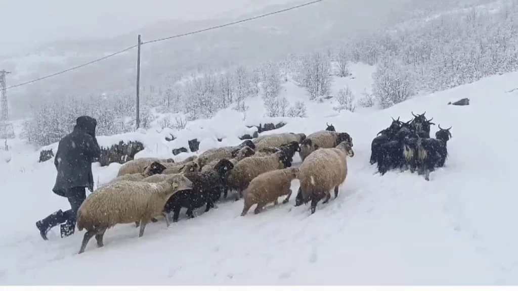 mus ta kar yagisi altinda besicilerin zorlu mesaisi habermeydan