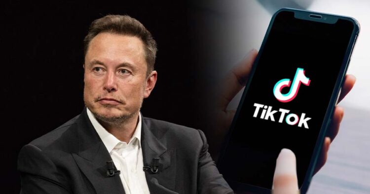 elon musk tiktok habermeydan