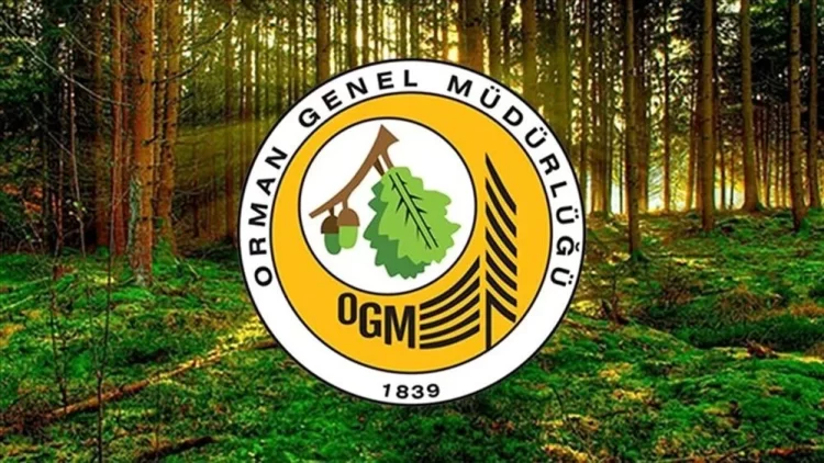 ogm habermeydan